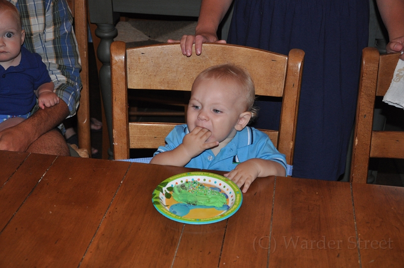 William's 2nd 1st Birthday Party 307.jpg